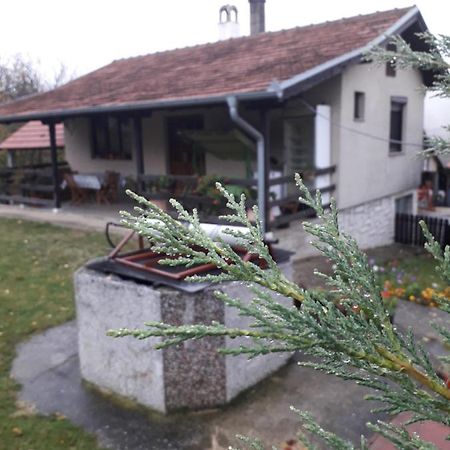 Galerija Jovanovic Topola Экстерьер фото